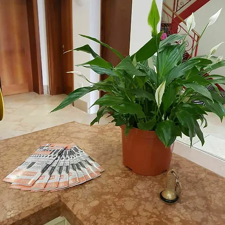 Ξενοδοχείο Cannaregio 2357 3*